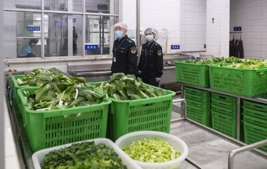 广州市市场监管局组织开展全市校园及周边食品安全监督检查