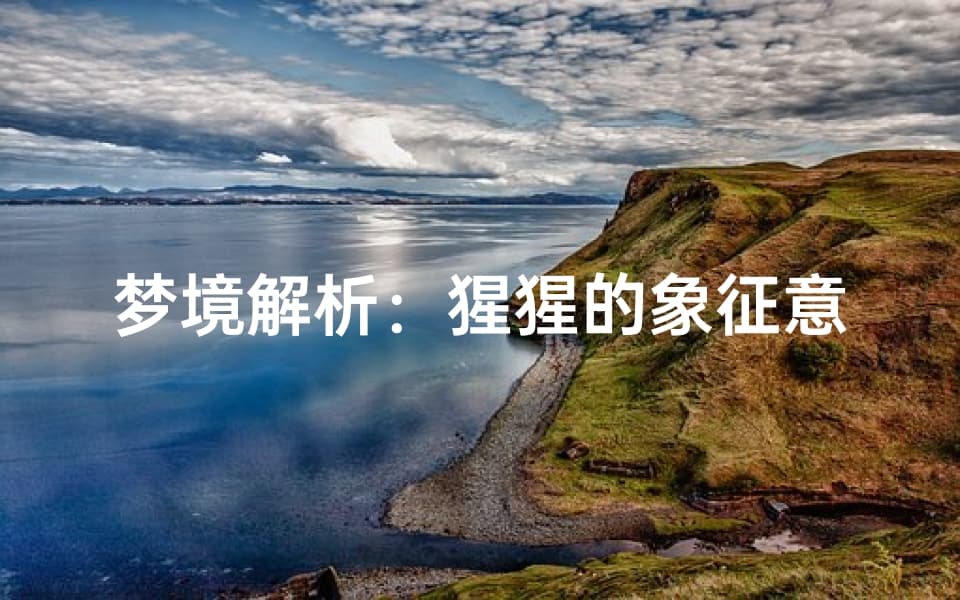 梦境解析：猩猩的象征意义，探索潜意识