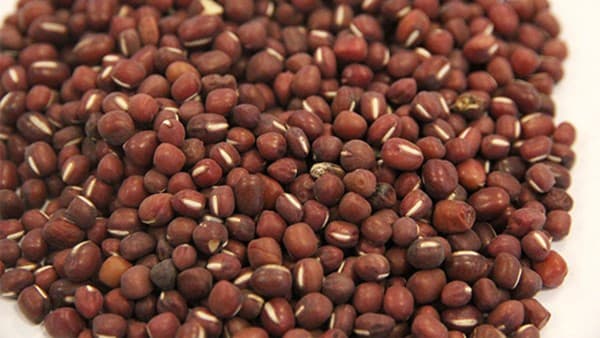 赤小豆的功效与应用：从传统到现代的全面解析