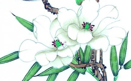 1953年生属蛇人命理特征与运势解析
