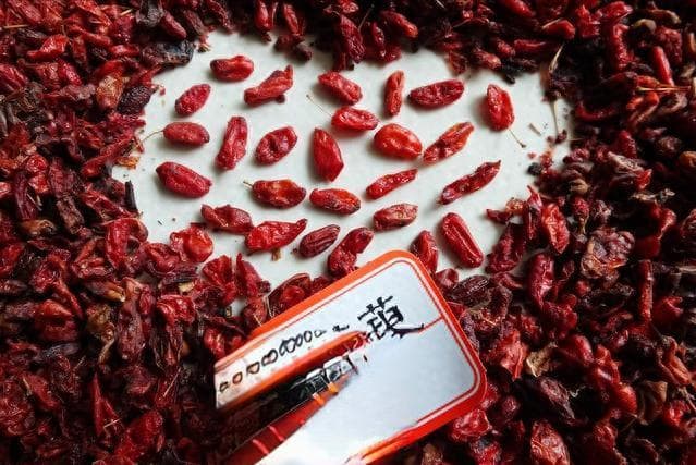山茱萸复方制剂临床试验成功，肾病治疗迎来新选择