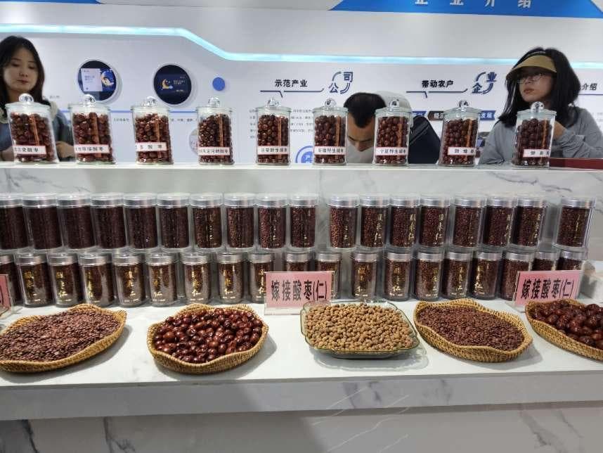 清涧县：小酸枣“大产业” 万头黑牛“犇”富路