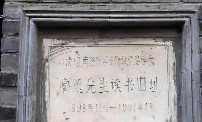 鲁迅如何选择专业学校？对今天依旧很有启发