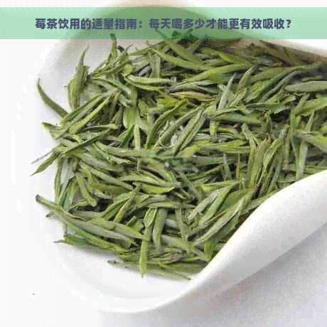 莓茶饮用的适量指南：每天喝多少才能更有效吸收？