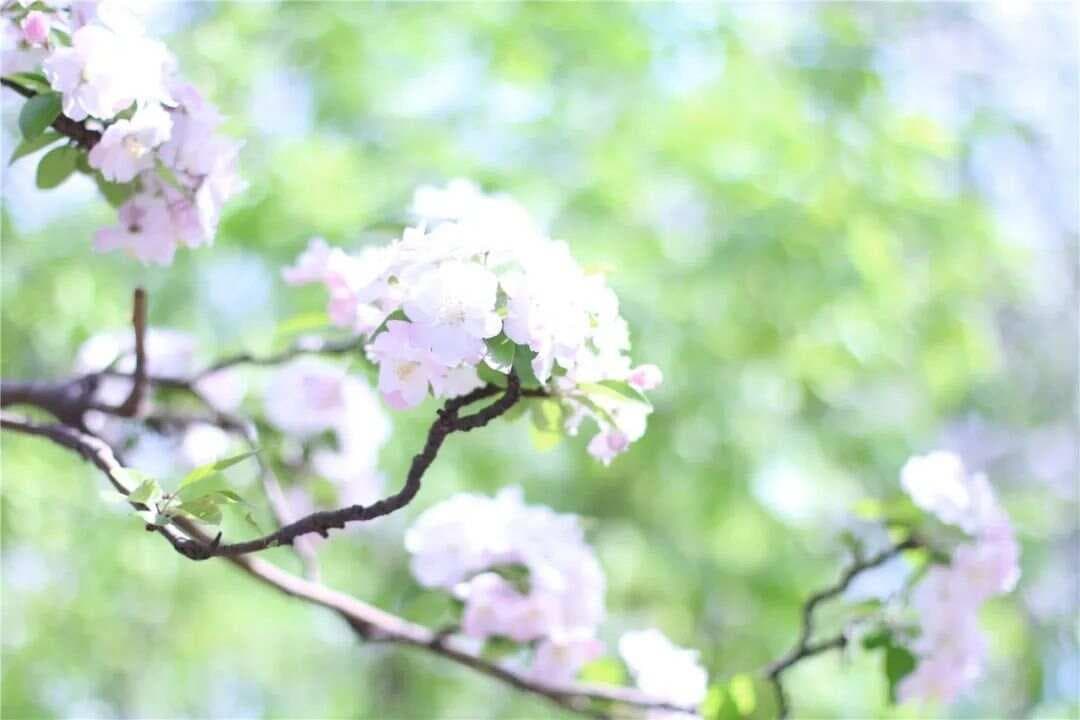 高血压病的放松治疗