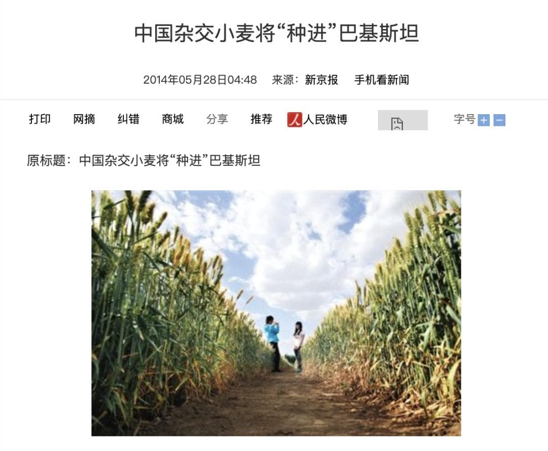 袁隆平墓前有碗非洲大米：中国杂交水稻，正在非洲“横扫饥饿”