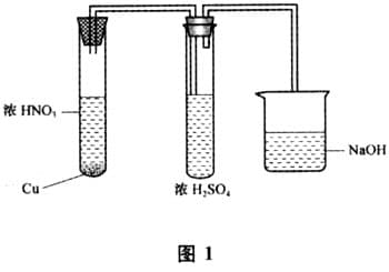 实验探究：NO2能否用浓硫酸干燥？
