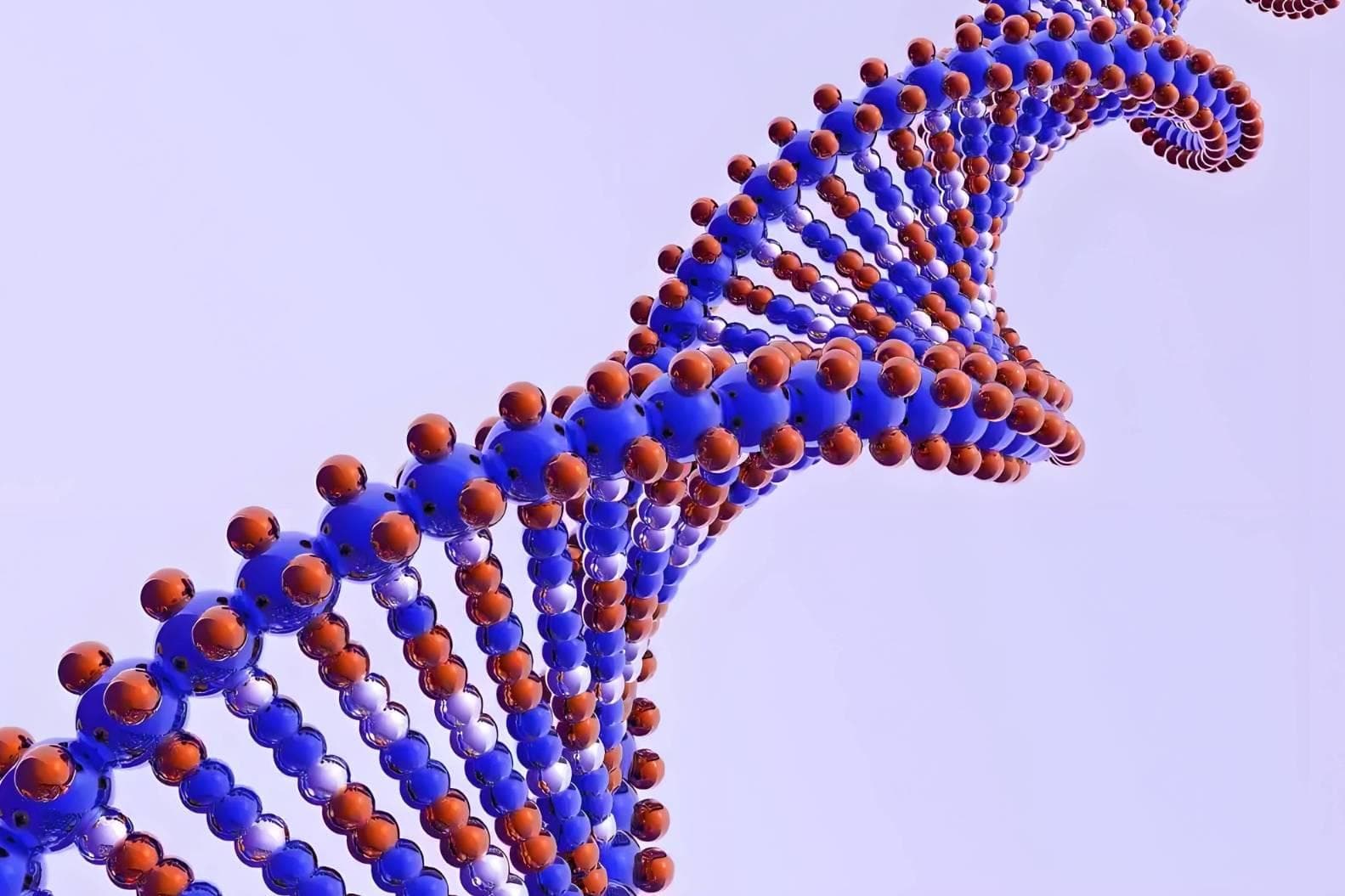 探秘： DNA、染色体和线粒体之间的奇妙关系