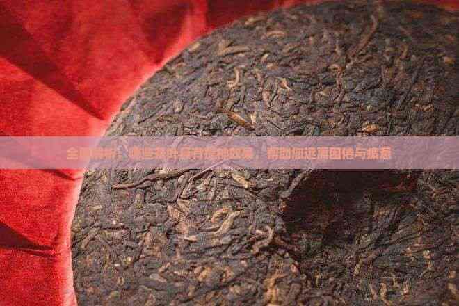 全面解析：哪些茶叶具有提神效果，帮助您远离困倦与疲惫
