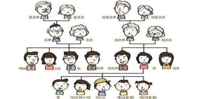 直系亲属的主要社会关系有哪些
