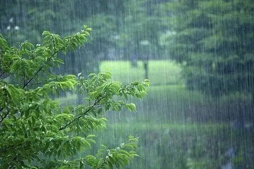 梅雨季节来临，小心这些皮肤病！