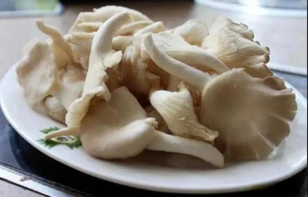 平菇的家常做法大全：教你5种做法，鲜嫩美味，比肉还香