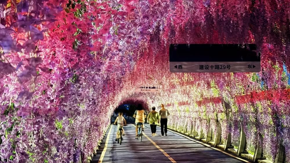璀璨灯火中骑行大桥江滩绿道，今夏武汉“夜骑”火爆