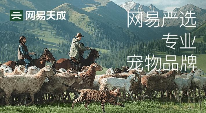 不同品牌10款狗粮评测，选择权全在我家两个狗狗，不知道大家选择哪一款呢？