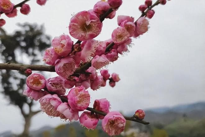 人到中年了才明白，50岁到55岁这6年，是“晚年寒冬”的开始