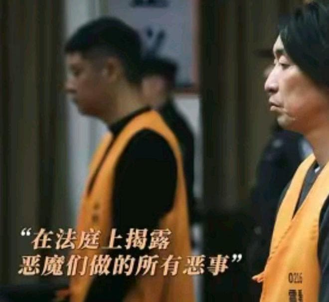 《漂白》大结局来了，剧情很精彩，宋红玉就是劳荣枝“分枝”