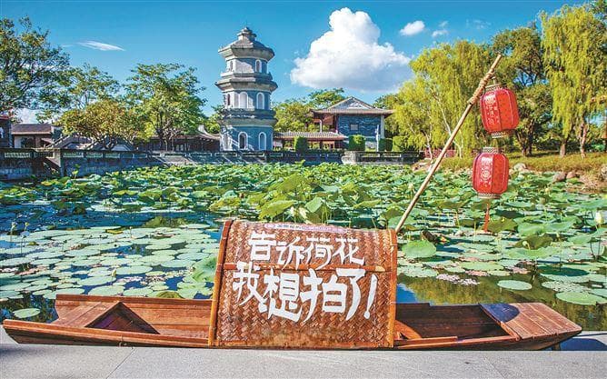赏花、观鸟、泡温泉 慢游厦门给你松弛感