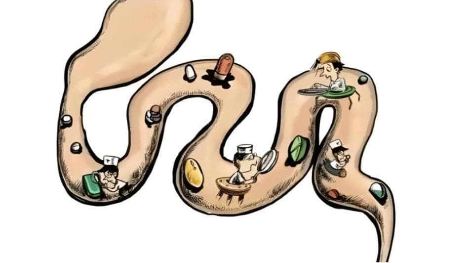越来越多人便秘，6个因素引起，长期危害不小，教你5个应对策略