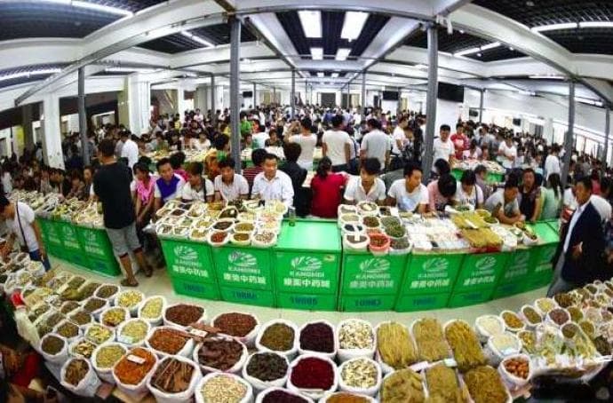 冒充、造假、翻新？别让造假毁了中药