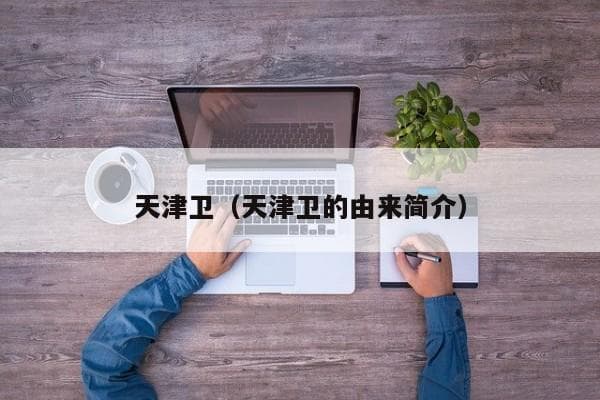 天津卫：一座城市的军事记忆