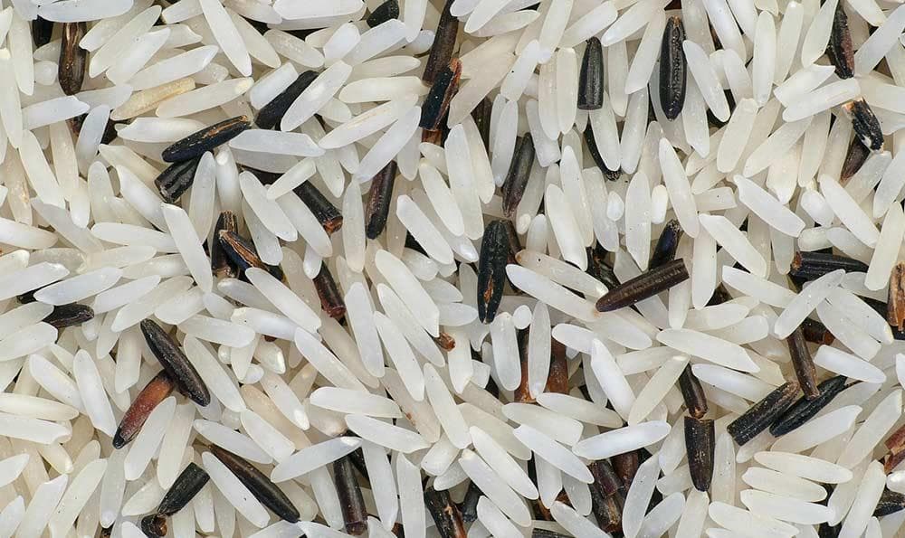 大米泡一上午再蒸 大米泡了蒸好还是不泡真好