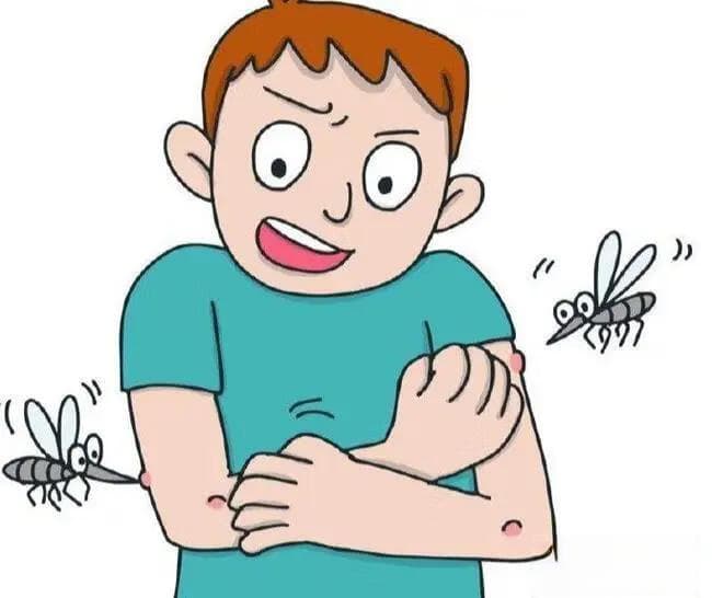 蚊虫叮咬后，如何快速止痒不留疤？