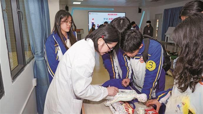 普通教育与职业教育如何“破界”融合？职业体验活动里找答案