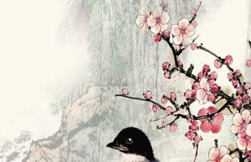 属马人士适合选择哪些职业发展方向 属马职业选择指南