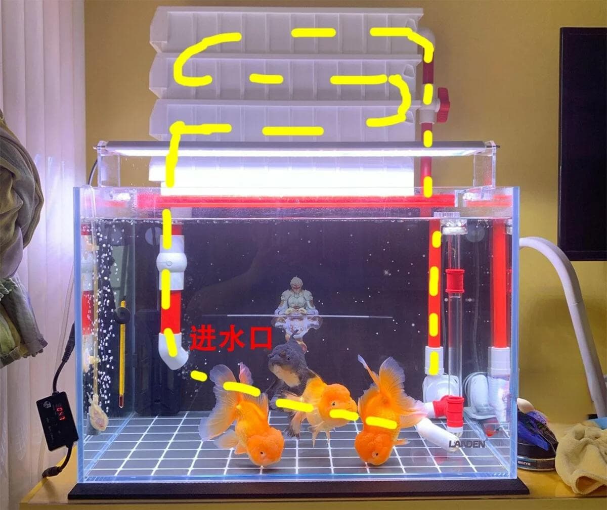 鱼缸进出水口合理摆放位置，3 种过滤分别讲解！
