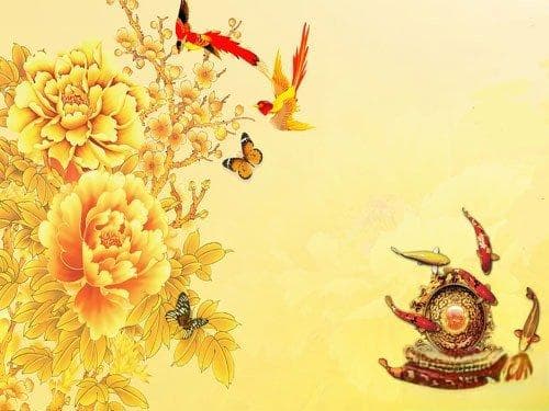 身份证姓名修改指南：原因、流程及注意事项全解析