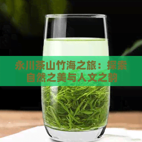 永川茶山竹海之旅：探索自然之美与人文之韵