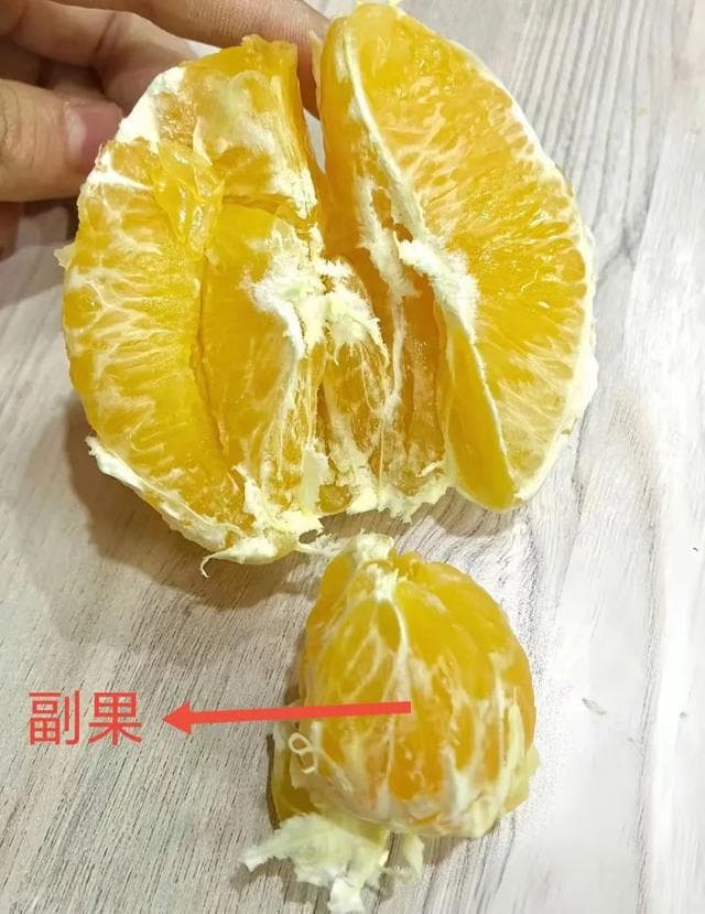 买脐橙时：“肚脐眼”挑大的还是小的？记住这3种脐橙白送也不要
