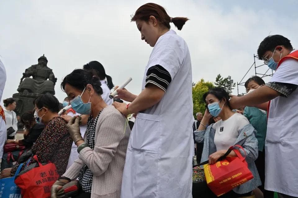 艾草：从端午驱邪到哈利波特里的神奇药水