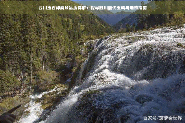 四川玉石种类及品质详解：探寻四川更优玉料与选购指南