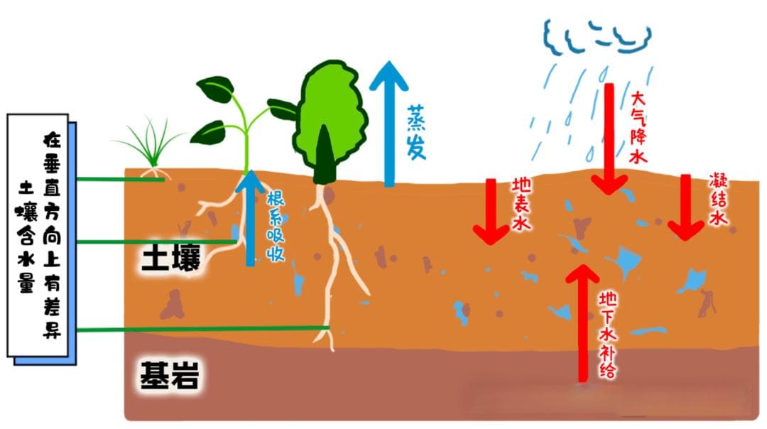 六个问题，搞懂土壤水！