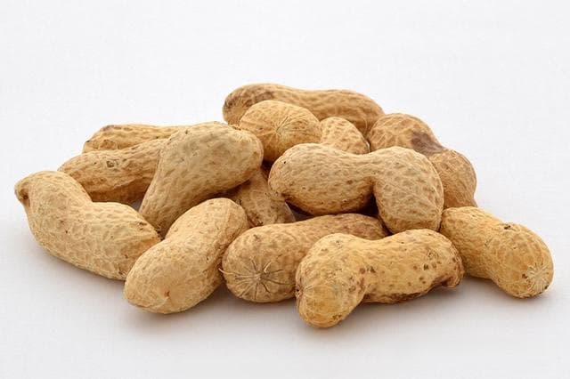 花生的功效与作用及食用禁忌