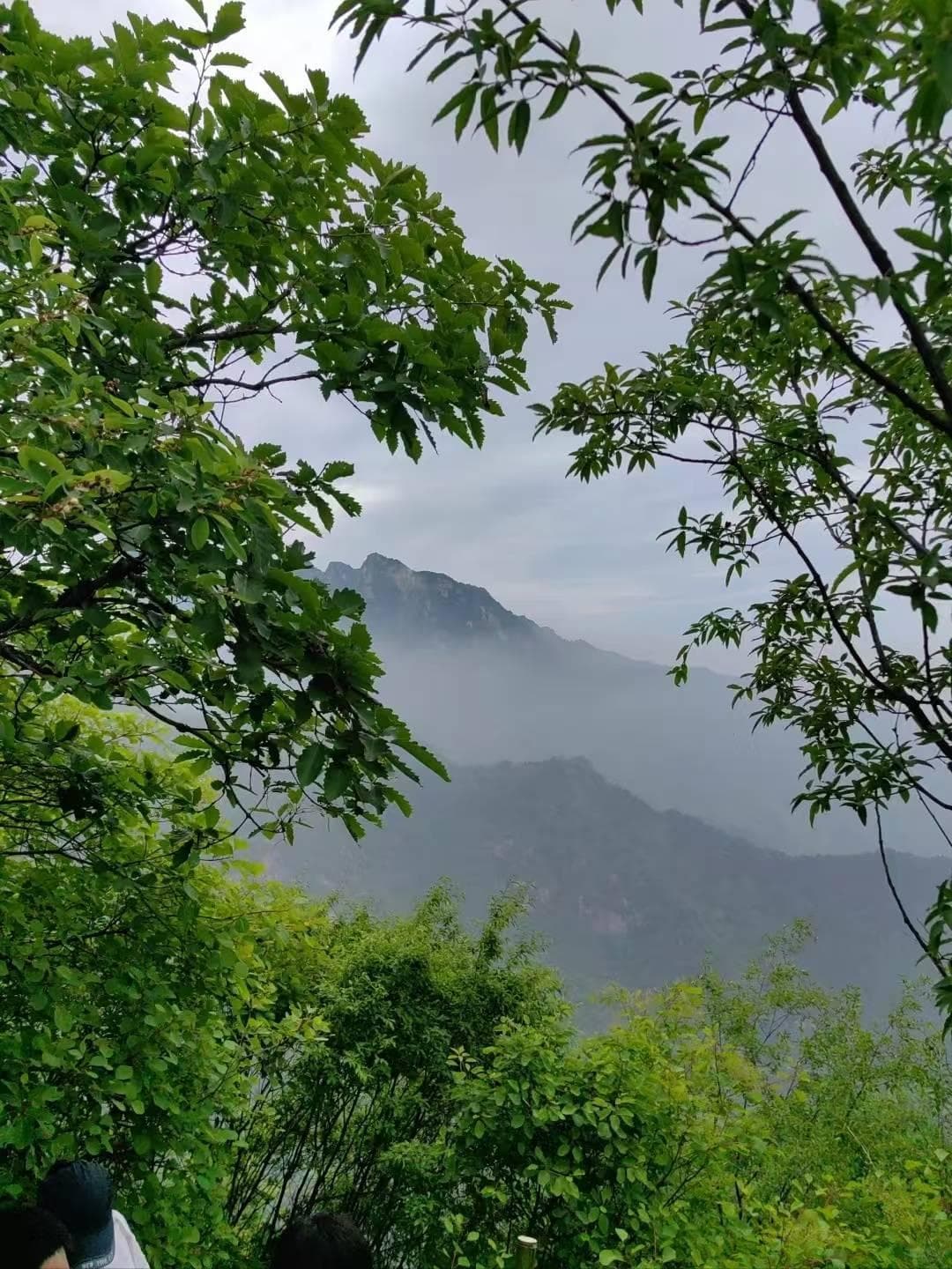 秦岭明珠：翠华山天池的研学奇妙之旅