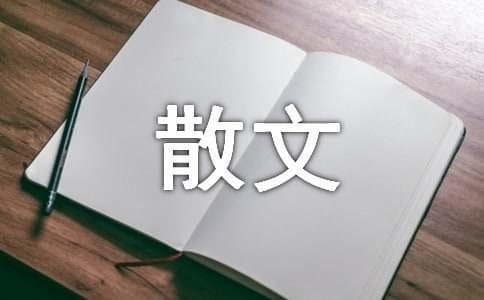 林清玄散文《随风吹笛》的文学特点