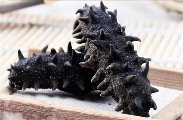 海参的百变吃法：从家常到奢华，解锁海洋珍馐的美味密码