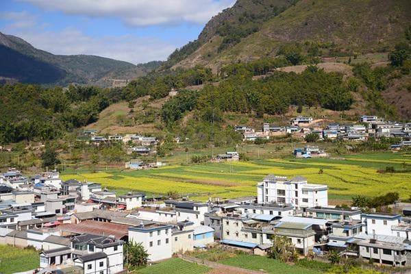 云南岔沟村：党建引领下的现代化边境幸福村建设样本