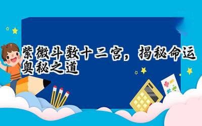 紫微斗数十二宫，揭秘命运奥秘之道