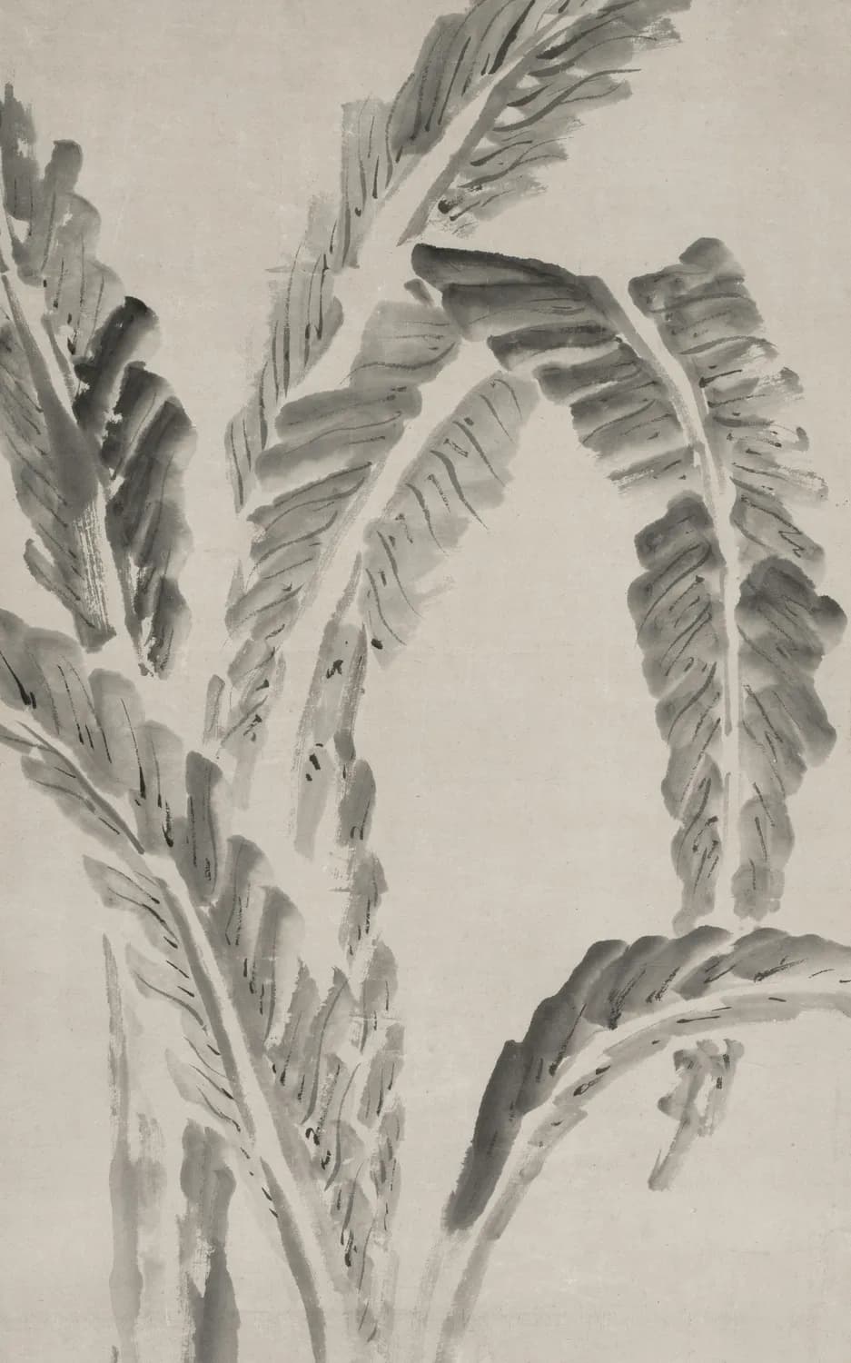齐白石的白菜情缘：从画布到餐桌的养生之道