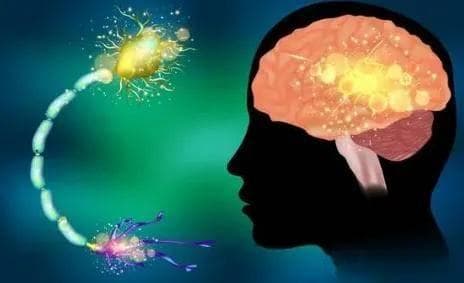 专家：癫痫不会导致记忆力和智商永久下降
