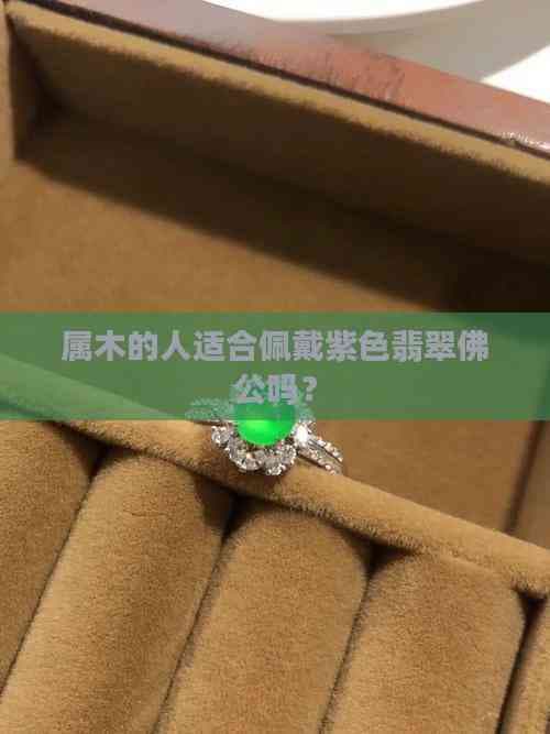 属木的人适合佩戴紫色翡翠佛公吗？
