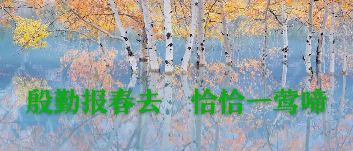 开启跨学科学习的实践