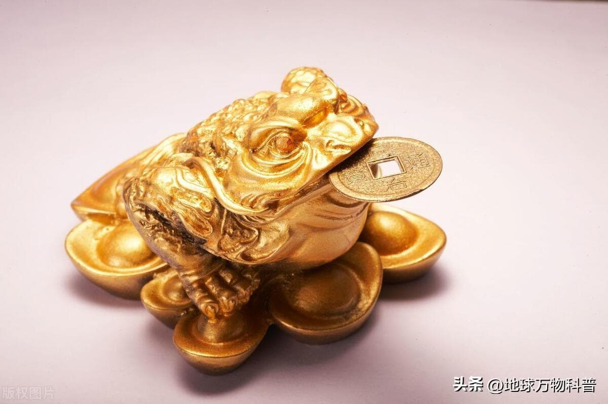 万物科普-神话世界的吉祥动物：金蟾