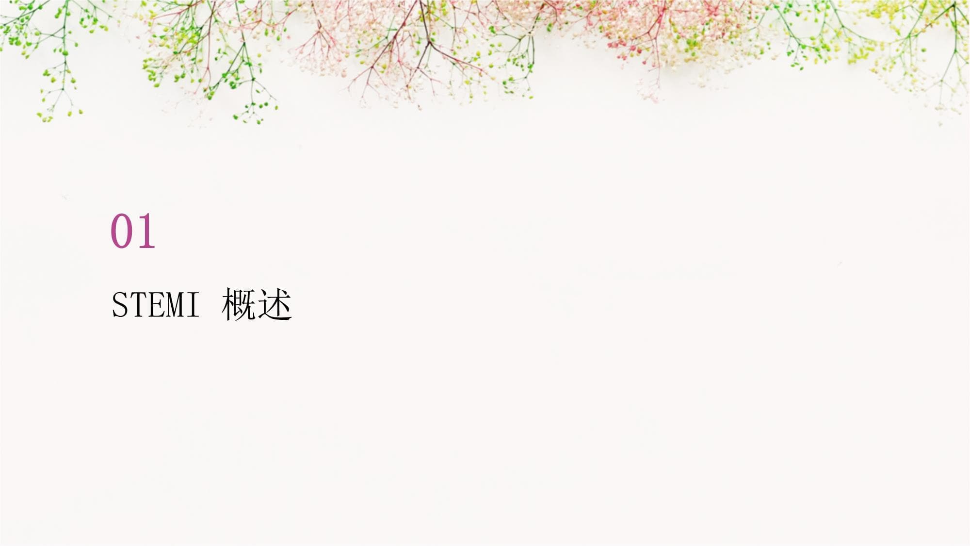 STEMI诊断和治疗指南