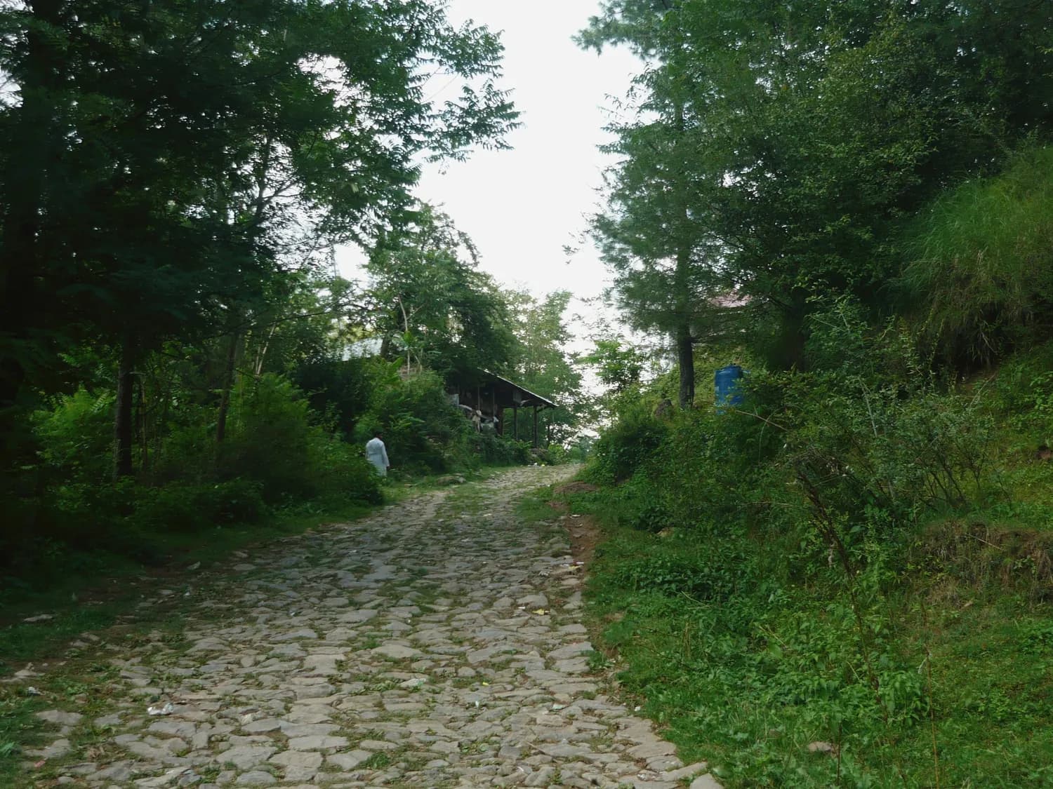 周末打卡！重庆三大热门登山步道推荐