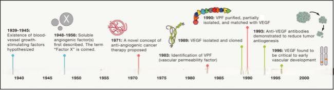 VEGFA人源化与转基因小鼠在眼科及肿瘤治疗药物研发中的应用