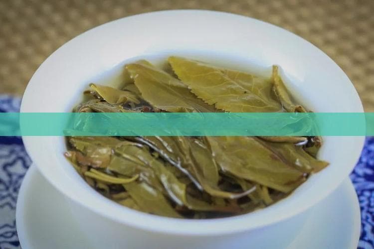 喝茶对健康的益处与潜在风险全面指南